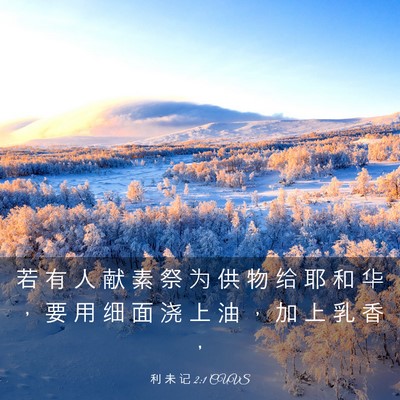 Picture 03 - 利 未 记 2:1 CUVS - 若 有 人 献 素 祭 为 供 物 给 耶 和 - Bible Verse Picture