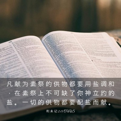 Picture 03 - 利 未 记 2:13 CUVS - 凡 献 为 素 祭 的 供 物 都 要 用 盐 - Bible Verse Picture