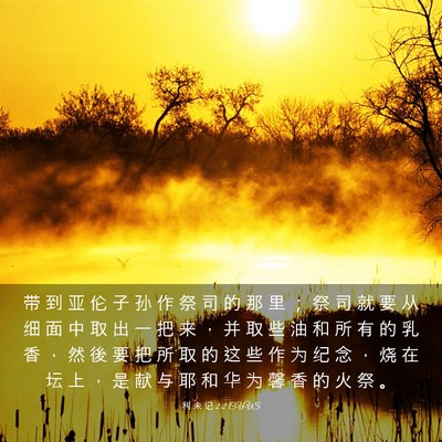 Picture 03 - 利 未 记 2:2 CUVS - 带 到 亚 伦 子 孙 作 祭 司 的 那 里 - Bible Verse Picture