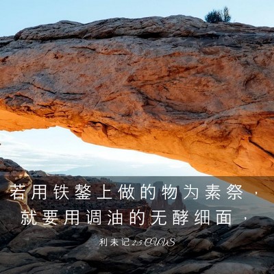 Picture 03 - 利 未 记 2:5 CUVS - 若 用 铁 鏊 上 做 的 物 为 素 祭 ， - Bible Verse Picture