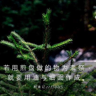 Picture 03 - 利 未 记 2:7 CUVS - 若 用 煎 盘 做 的 物 为 素 祭 ， 就 - Bible Verse Picture