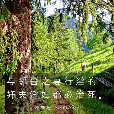 Picture 03 - 利 未 记 20:10 CUVS - 与 邻 舍 之 妻 行 淫 的 ， 奸 夫 淫 - Bible Verse Picture