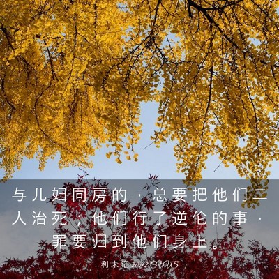 Picture 03 - 利 未 记 20:12 CUVS - 与 儿 妇 同 房 的 ， 总 要 把 他 们 - Bible Verse Picture