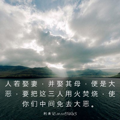 Picture 03 - 利 未 记 20:14 CUVS - 人 若 娶 妻 ， 并 娶 其 母 ， 便 是 - Bible Verse Picture