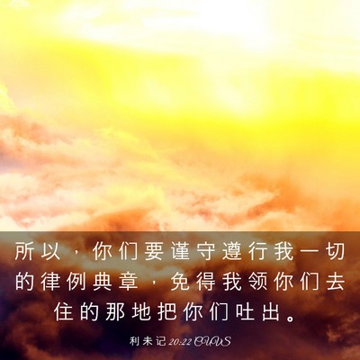 Picture 03 - 利 未 记 20:22 CUVS - 所 以 ， 你 们 要 谨 守 遵 行 我 一 - Bible Verse Picture