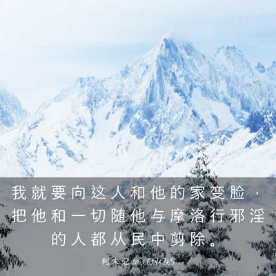 Picture 03 - 利 未 记 20:5 CUVS - 我 就 要 向 这 人 和 他 的 家 变 脸 - Bible Verse Picture