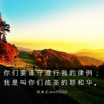 Picture 03 - 利 未 记 20:8 CUVS - 你 们 要 谨 守 遵 行 我 的 律 例 ； - Bible Verse Picture