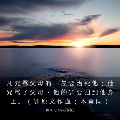 Picture 03 - 利 未 记 20:9 CUVS - 凡 咒 骂 父 母 的 ， 总 要 治 死 他 - Bible Verse Picture