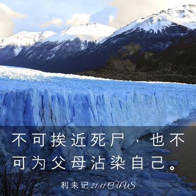 Picture 03 - 利 未 记 21:11 CUVS - 不 可 挨 近 死 尸 ， 也 不 可 为 父 - Bible Verse Picture