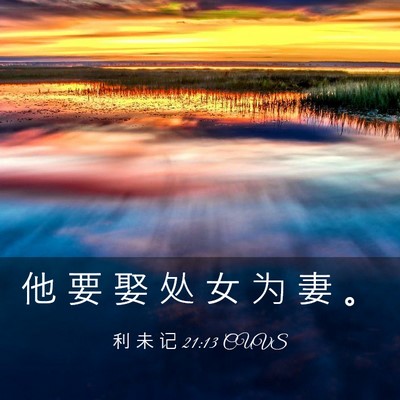 Picture 03 - 利 未 记 21:13 CUVS - 他 要 娶 处 女 为 妻 - Bible Verse Picture