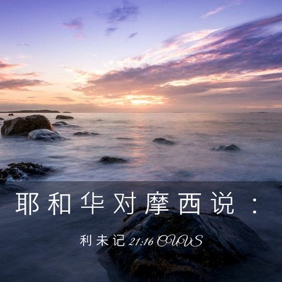 Picture 03 - 利 未 记 21:16 CUVS - 耶 和 华 对 摩 西 说 - Bible Verse Picture
