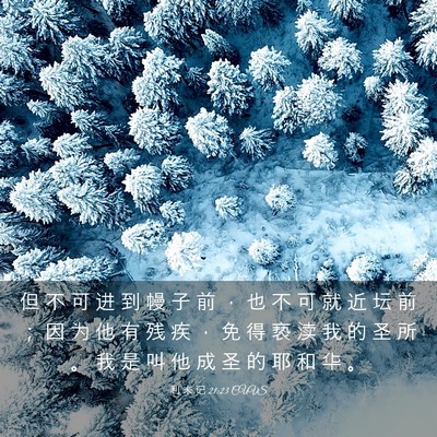 Picture 03 - 利 未 记 21:23 CUVS - 但 不 可 进 到 幔 子 前 ， 也 不 可 - Bible Verse Picture