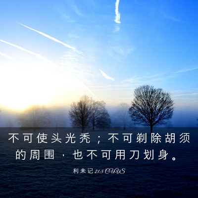 Picture 03 - 利 未 记 21:5 CUVS - 不 可 使 头 光 秃 ； 不 可 剃 除 胡 - Bible Verse Picture