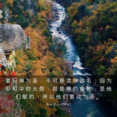 Picture 03 - 利 未 记 21:6 CUVS - 要 归 神 为 圣 ， 不 可 亵 渎 神 的 - Bible Verse Picture