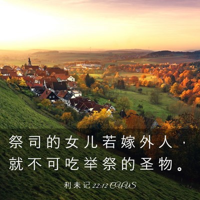 Picture 03 - 利 未 记 22:12 CUVS - 祭 司 的 女 儿 若 嫁 外 人 ， 就 不 - Bible Verse Picture