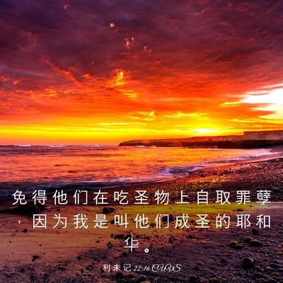 Picture 03 - 利 未 记 22:16 CUVS - 免 得 他 们 在 吃 圣 物 上 自 取 罪 - Bible Verse Picture
