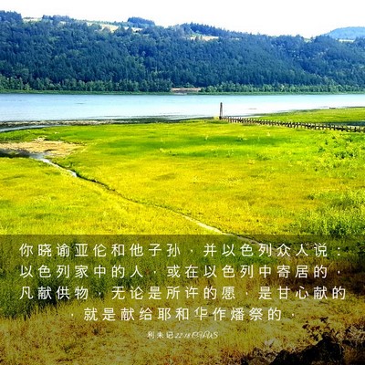 Picture 03 - 利 未 记 22:18 CUVS - 你 晓 谕 亚 伦 和 他 子 孙 ， 并 以 - Bible Verse Picture
