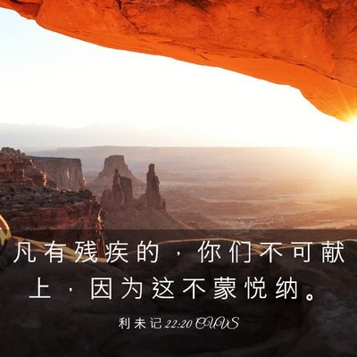 Picture 03 - 利 未 记 22:20 CUVS - 凡 有 残 疾 的 ， 你 们 不 可 献 上 - Bible Verse Picture