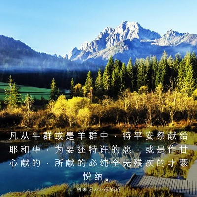 Picture 03 - 利 未 记 22:21 CUVS - 凡 从 牛 群 或 是 羊 群 中 ， 将 平 - Bible Verse Picture