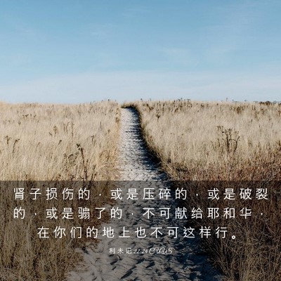 Picture 03 - 利 未 记 22:24 CUVS - 肾 子 损 伤 的 ， 或 是 压 碎 的 ， - Bible Verse Picture