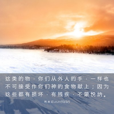 Picture 03 - 利 未 记 22:25 CUVS - 这 类 的 物 ， 你 们 从 外 人 的 手 - Bible Verse Picture