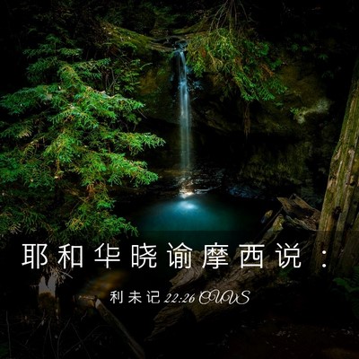 Picture 03 - 利 未 记 22:26 CUVS - 耶 和 华 晓 谕 摩 西 说 - Bible Verse Picture