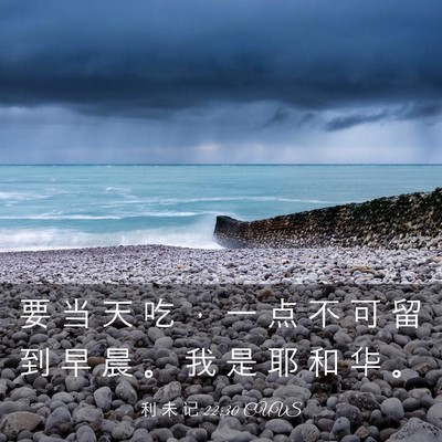 Picture 03 - 利 未 记 22:30 CUVS - 要 当 天 吃 ， 一 点 不 可 留 到 早 - Bible Verse Picture