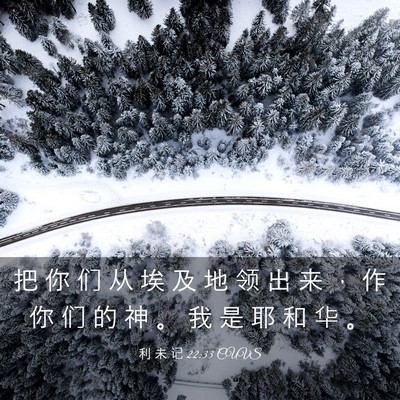 Picture 03 - 利 未 记 22:33 CUVS - 把 你 们 从 埃 及 地 领 出 来 ， 作 - Bible Verse Picture