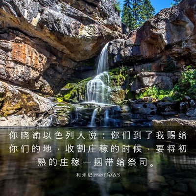 Picture 03 - 利 未 记 23:10 CUVS - 你 晓 谕 以 色 列 人 说 ： 你 们 到 - Bible Verse Picture