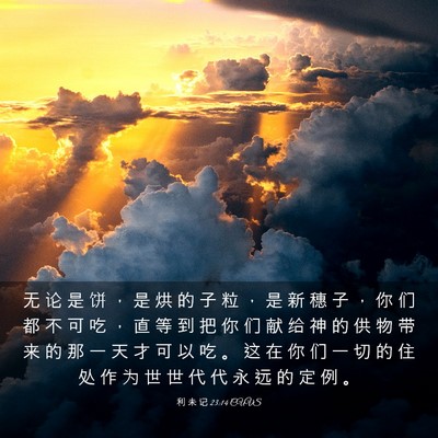 Picture 03 - 利 未 记 23:14 CUVS - 无 论 是 饼 ， 是 烘 的 子 粒 ， 是 - Bible Verse Picture