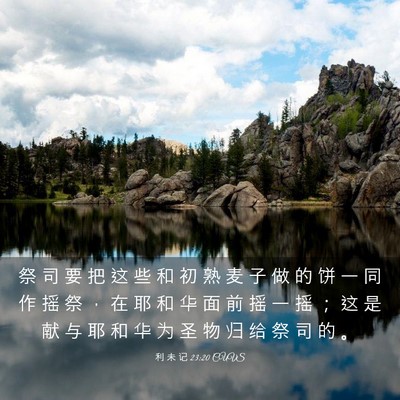 Picture 03 - 利 未 记 23:20 CUVS - 祭 司 要 把 这 些 和 初 熟 麦 子 做 - Bible Verse Picture