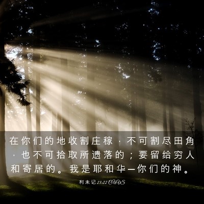 Picture 03 - 利 未 记 23:22 CUVS - 在 你 们 的 地 收 割 庄 稼 ， 不 可 - Bible Verse Picture