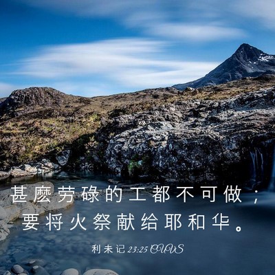Picture 03 - 利 未 记 23:25 CUVS - 甚 麽 劳 碌 的 工 都 不 可 做 ； 要 - Bible Verse Picture