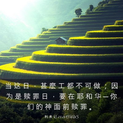 Picture 03 - 利 未 记 23:28 CUVS - 当 这 日 ， 甚 麽 工 都 不 可 做 ； - Bible Verse Picture