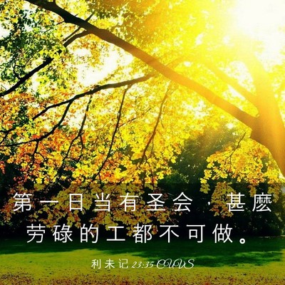 Picture 03 - 利 未 记 23:35 CUVS - 第 一 日 当 有 圣 会 ， 甚 麽 劳 碌 - Bible Verse Picture