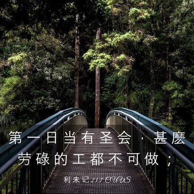 Picture 03 - 利 未 记 23:7 CUVS - 第 一 日 当 有 圣 会 ， 甚 麽 劳 碌 - Bible Verse Picture