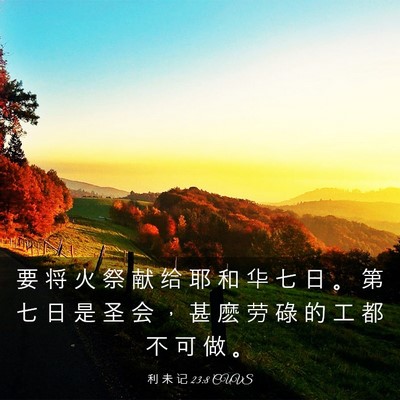 Picture 03 - 利 未 记 23:8 CUVS - 要 将 火 祭 献 给 耶 和 华 七 日 。 - Bible Verse Picture