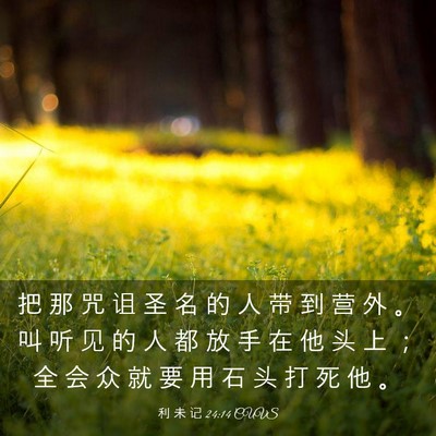 Picture 03 - 利 未 记 24:14 CUVS - 把 那 咒 诅 圣 名 的 人 带 到 营 外 - Bible Verse Picture