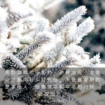 Picture 03 - 利 未 记 24:16 CUVS - 那 亵 渎 耶 和 华 名 的 ， 必 被 治 - Bible Verse Picture
