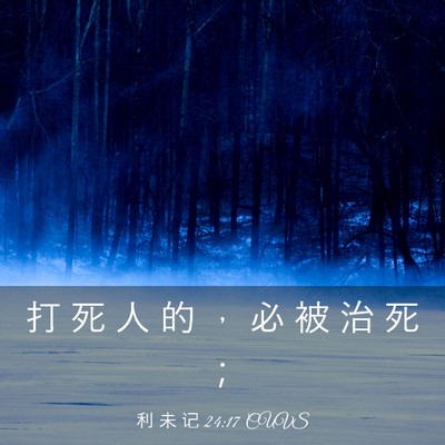Picture 03 - 利 未 记 24:17 CUVS - 打 死 人 的 ， 必 被 治 死 - Bible Verse Picture