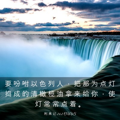 Picture 03 - 利 未 记 24:2 CUVS - 要 吩 咐 以 色 列 人 ， 把 那 为 点 - Bible Verse Picture