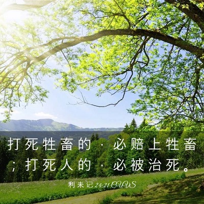 Picture 03 - 利 未 记 24:21 CUVS - 打 死 牲 畜 的 ， 必 赔 上 牲 畜 ； - Bible Verse Picture
