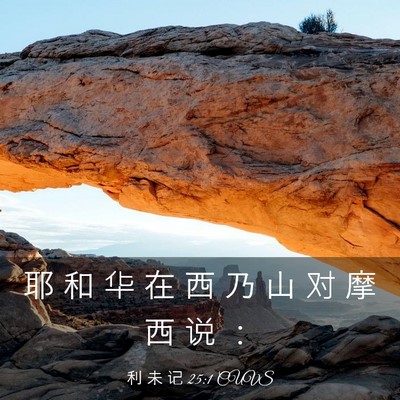 Picture 03 - 利 未 记 25:1 CUVS - 耶 和 华 在 西 乃 山 对 摩 西 说 - Bible Verse Picture