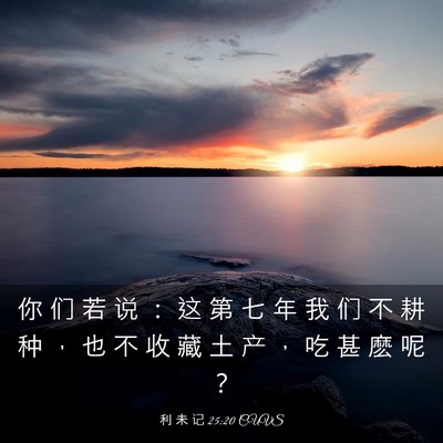 Picture 03 - 利 未 记 25:20 CUVS - 你 们 若 说 ： 这 第 七 年 我 们 不 - Bible Verse Picture