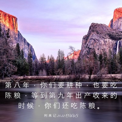 Picture 03 - 利 未 记 25:22 CUVS - 第 八 年 ， 你 们 要 耕 种 ， 也 要 - Bible Verse Picture