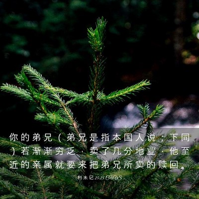 Picture 03 - 利 未 记 25:25 CUVS - 你 的 弟 兄 （ 弟 兄 是 指 本 国 人 - Bible Verse Picture