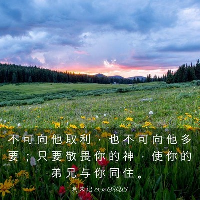Picture 03 - 利 未 记 25:36 CUVS - 不 可 向 他 取 利 ， 也 不 可 向 他 - Bible Verse Picture
