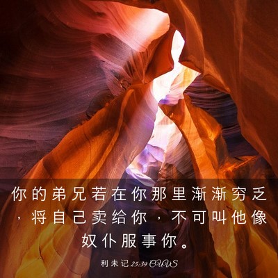 Picture 03 - 利 未 记 25:39 CUVS - 你 的 弟 兄 若 在 你 那 里 渐 渐 穷 - Bible Verse Picture