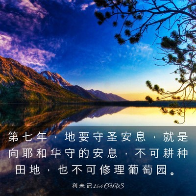 Picture 03 - 利 未 记 25:4 CUVS - 第 七 年 ， 地 要 守 圣 安 息 ， 就 - Bible Verse Picture