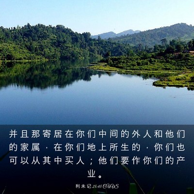 Picture 03 - 利 未 记 25:45 CUVS - 并 且 那 寄 居 在 你 们 中 间 的 外 - Bible Verse Picture